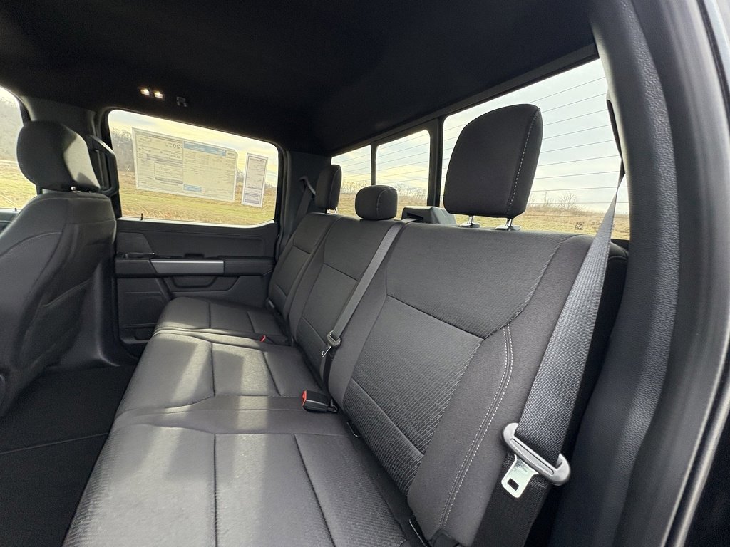 New 2025 Ford F150 XLT w/ Equipment Group 302A MID image 22