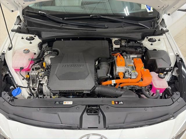 Used 2023 Hyundai Elantra Limited image 7