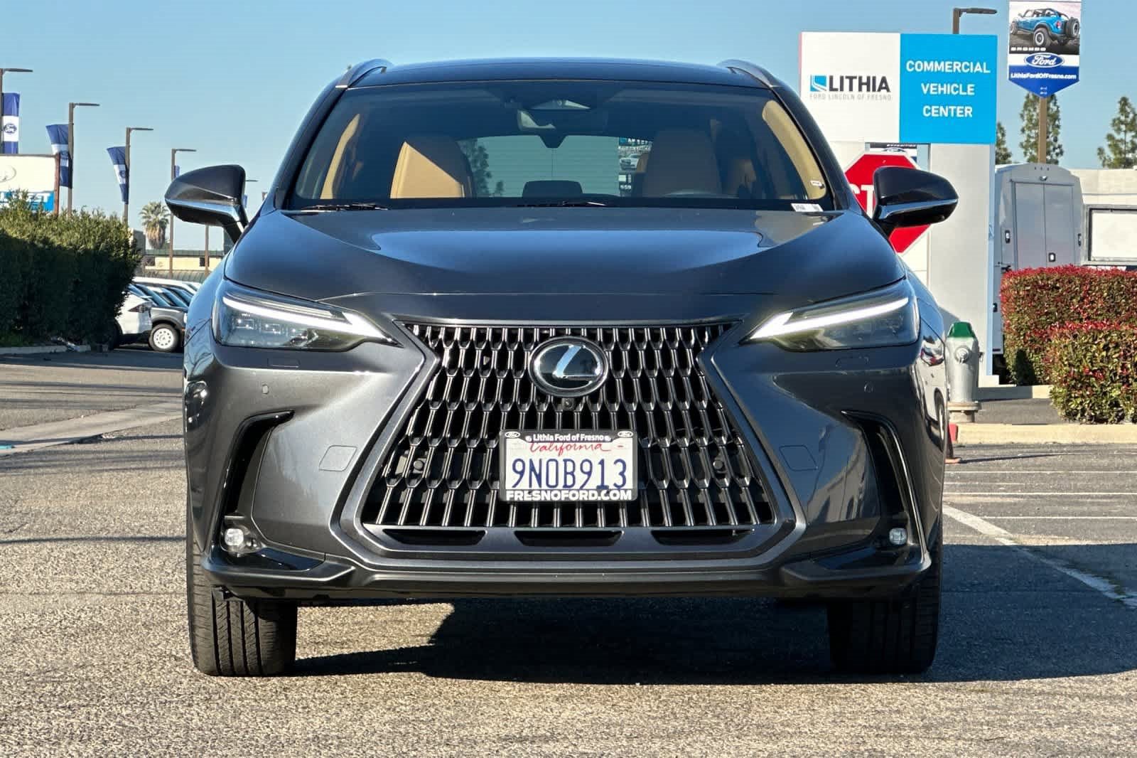Used 2025 Lexus NX 300h 350h Luxury image 10