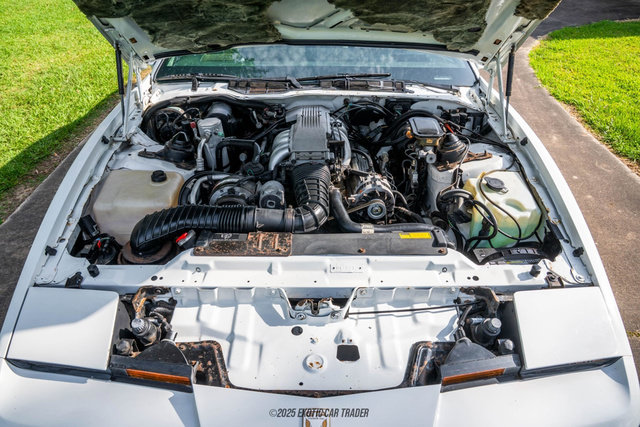 Used 1989 Pontiac Firebird Trans Am RWD image 15