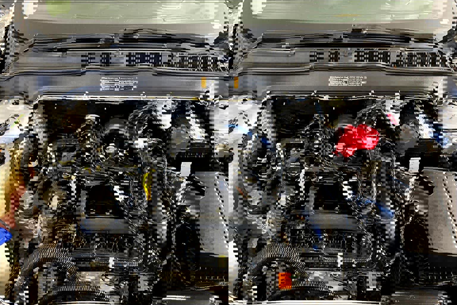 Used 2019 Ford Fusion SE image 31