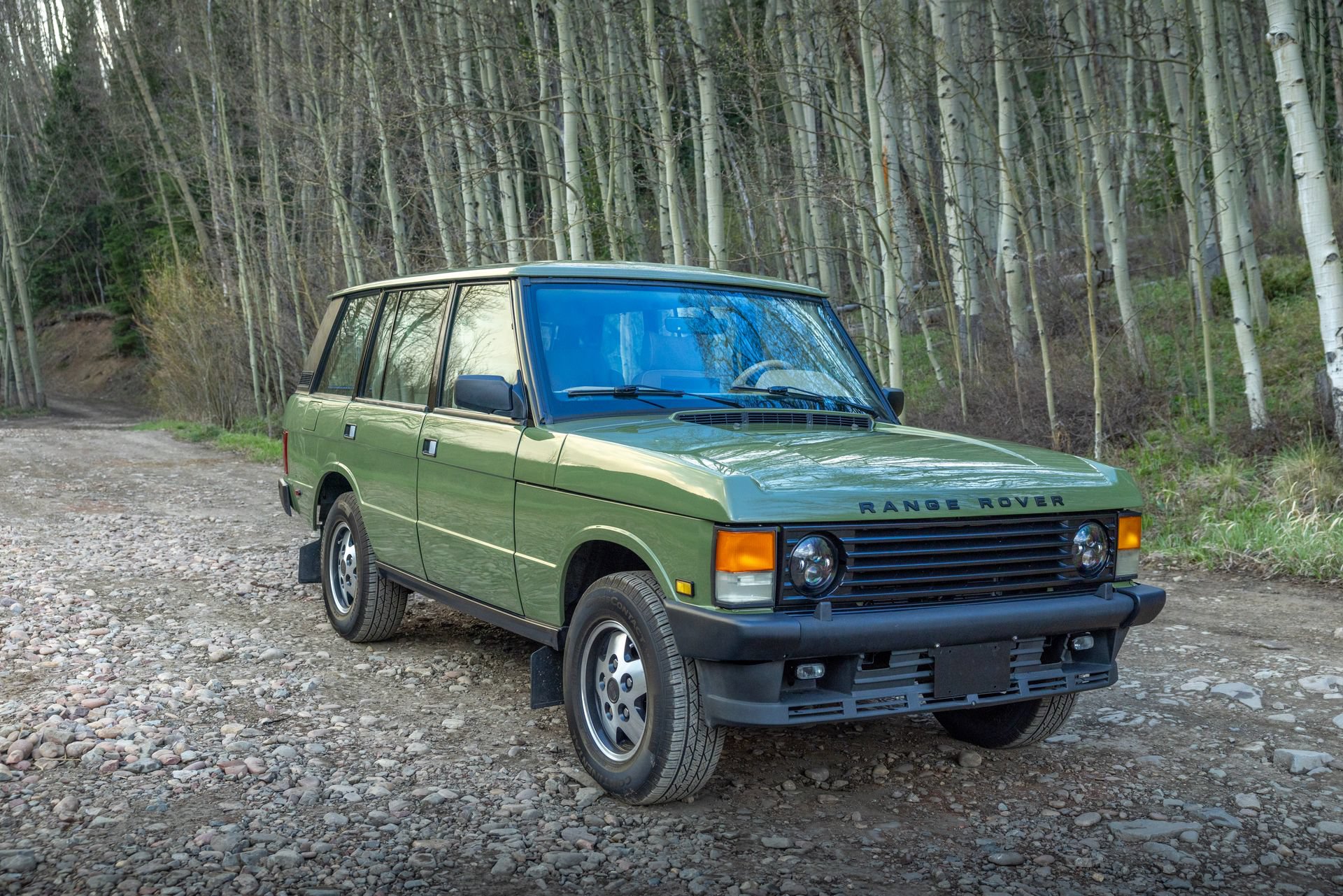 Used 1995 Land Rover Range Rover County AWD/4WD image 32