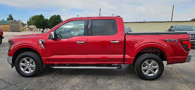 Certified 2024 Ford F150 XLT w/ Equipment Group 302A MID image 2