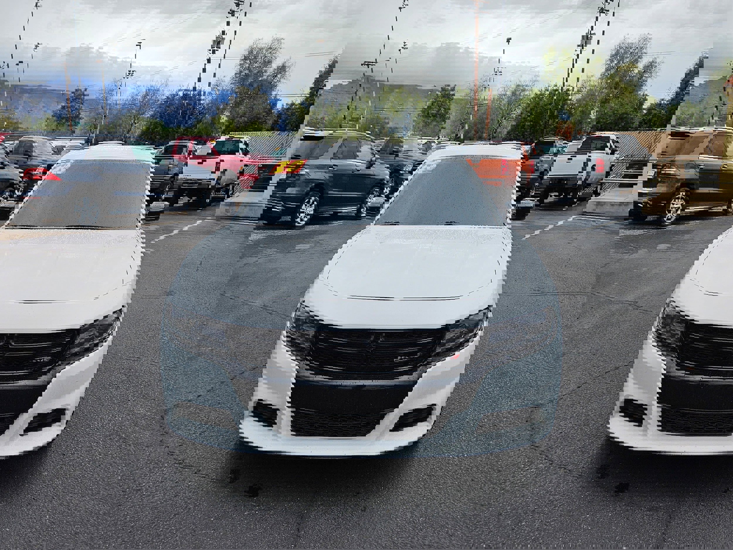 Used 2020 Dodge Charger SXT w/ Blacktop Package image 8