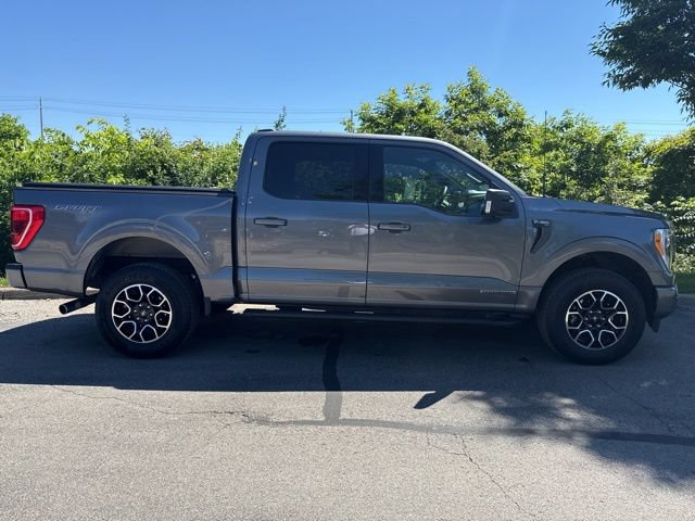 Used 2023 Ford F150 XLT w/ Equipment Group 302A High AWD/4WD image 9