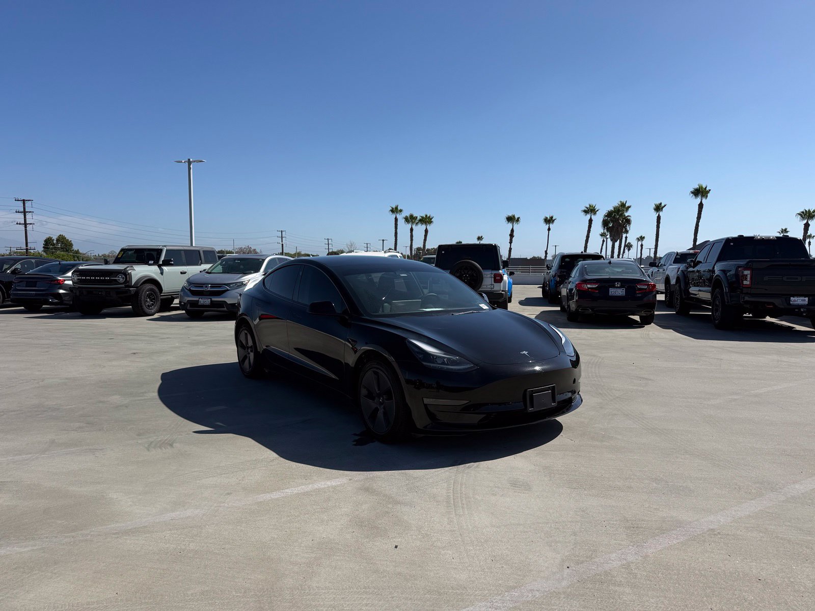 Used 2022 Tesla Model 3 Standard Range RWD image 4