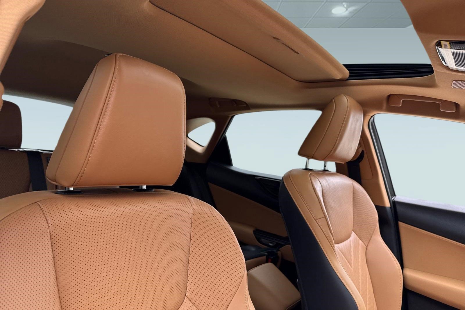 New 2026 Lexus NX 450h+ AWD w/ Luxury Package image 14