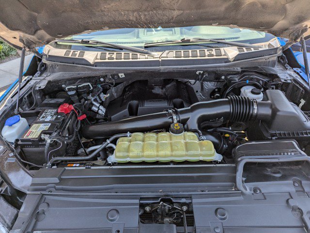 Used 2019 Ford F150 XLT w/ Equipment Group 302A Luxury AWD/4WD image 28