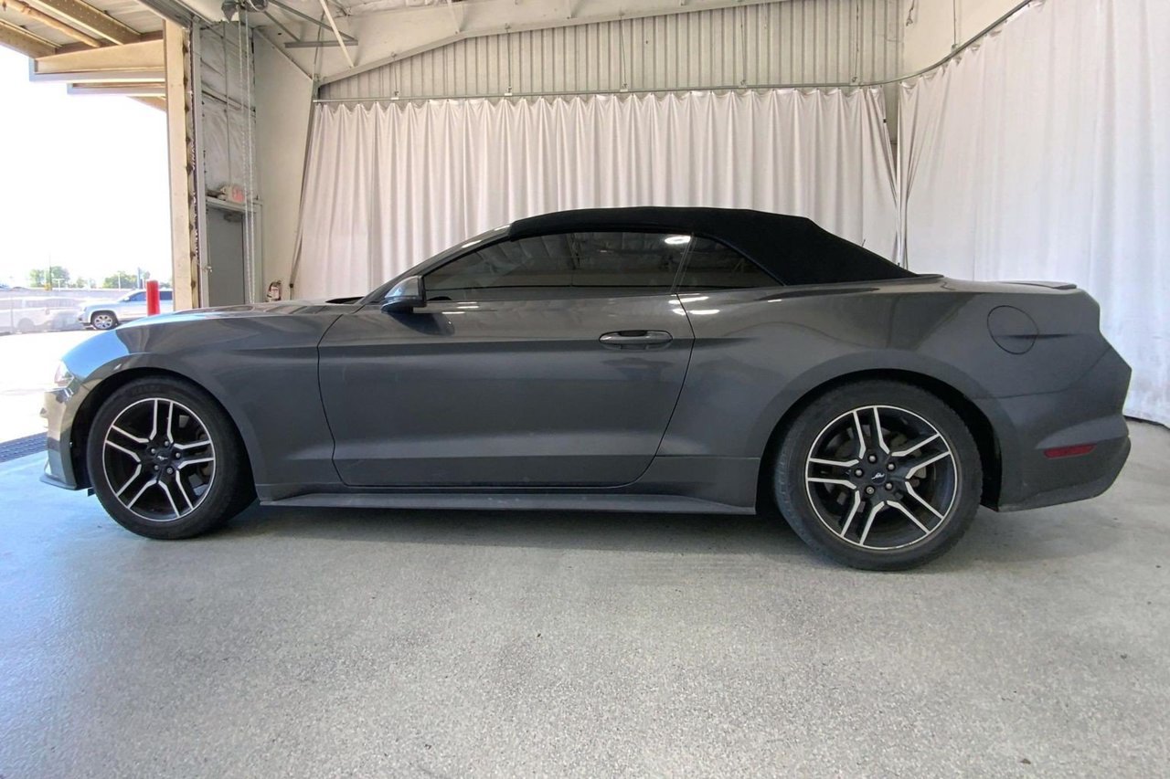 Used 2019 Ford Mustang Premium RWD image 26