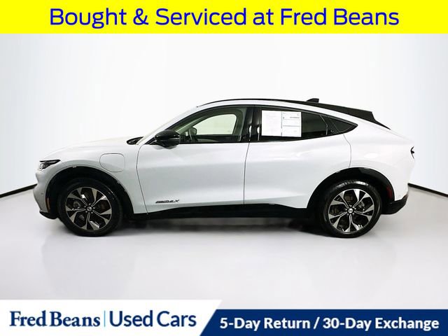 Certified 2021 Ford Mustang Mach-E Premium image 5