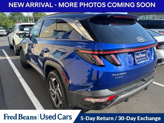 Used 2023 Hyundai Tucson Limited AWD/4WD image 4