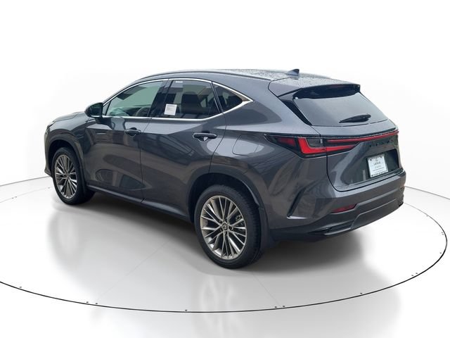 New 2026 Lexus NX 350 AWD w/ Luxury Package image 3