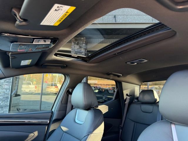 Used 2024 Hyundai Santa Cruz Limited image 8