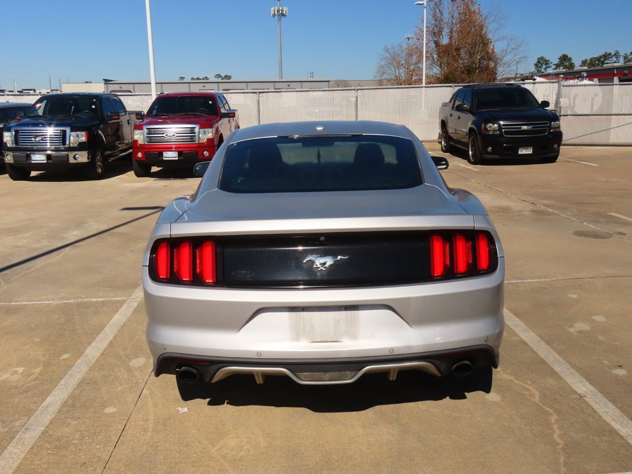 Used 2016 Ford Mustang Premium image 13
