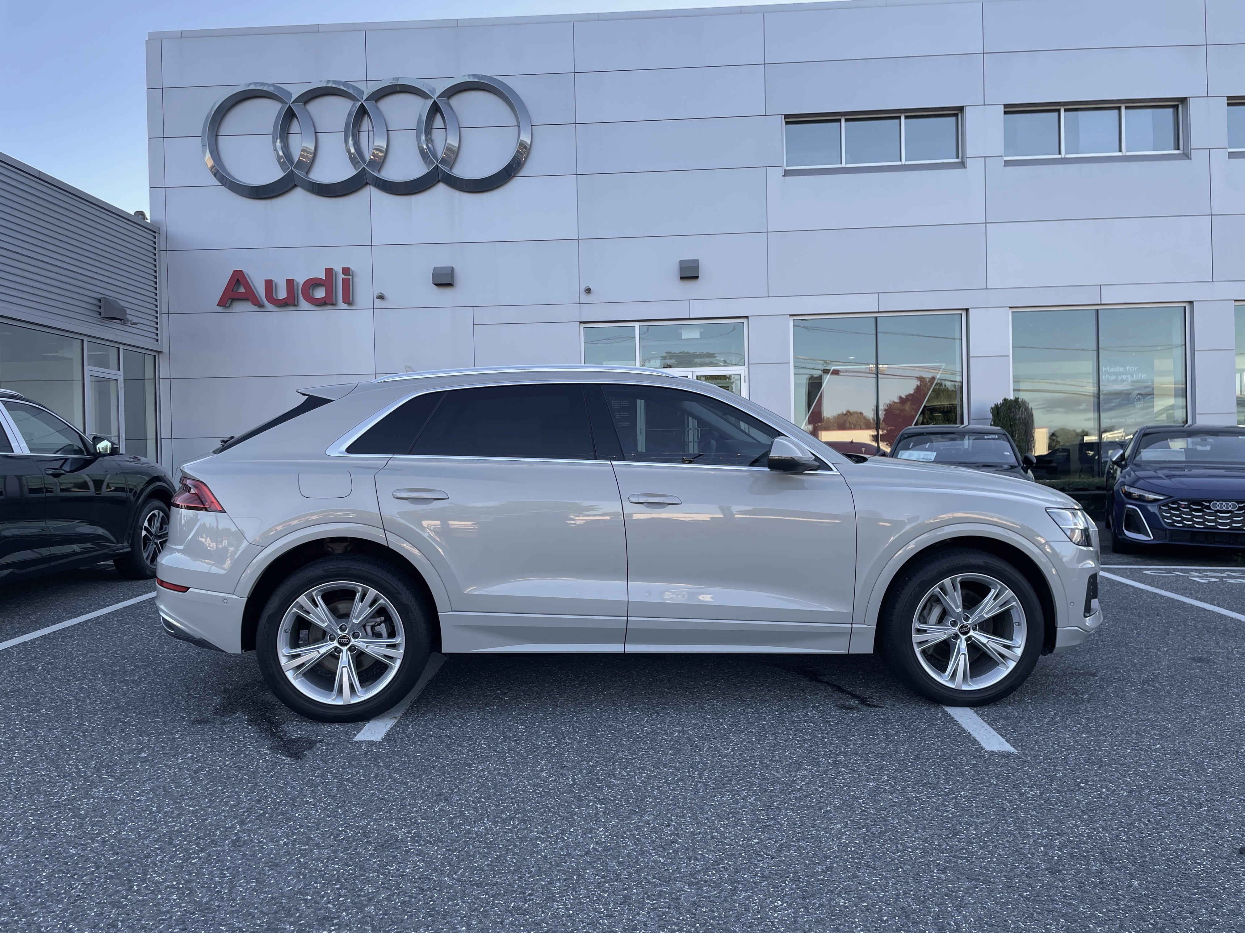 Certified 2023 Audi Q8 Premium w/ Convenience Package AWD/4WD image 3