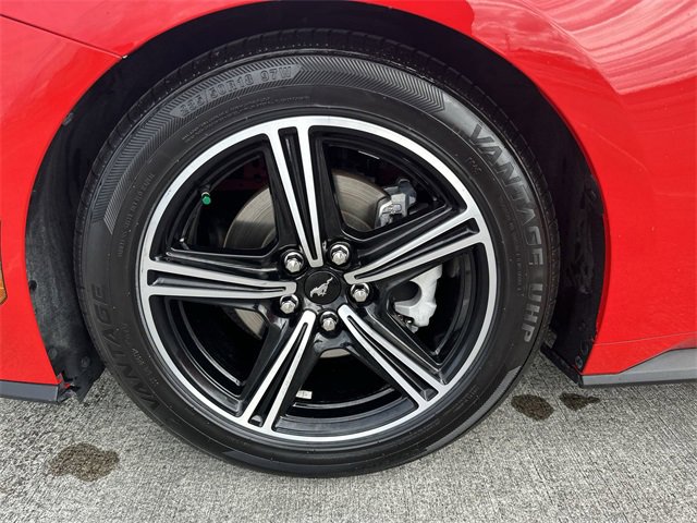 Used 2024 Ford Mustang EcoBoost image 19