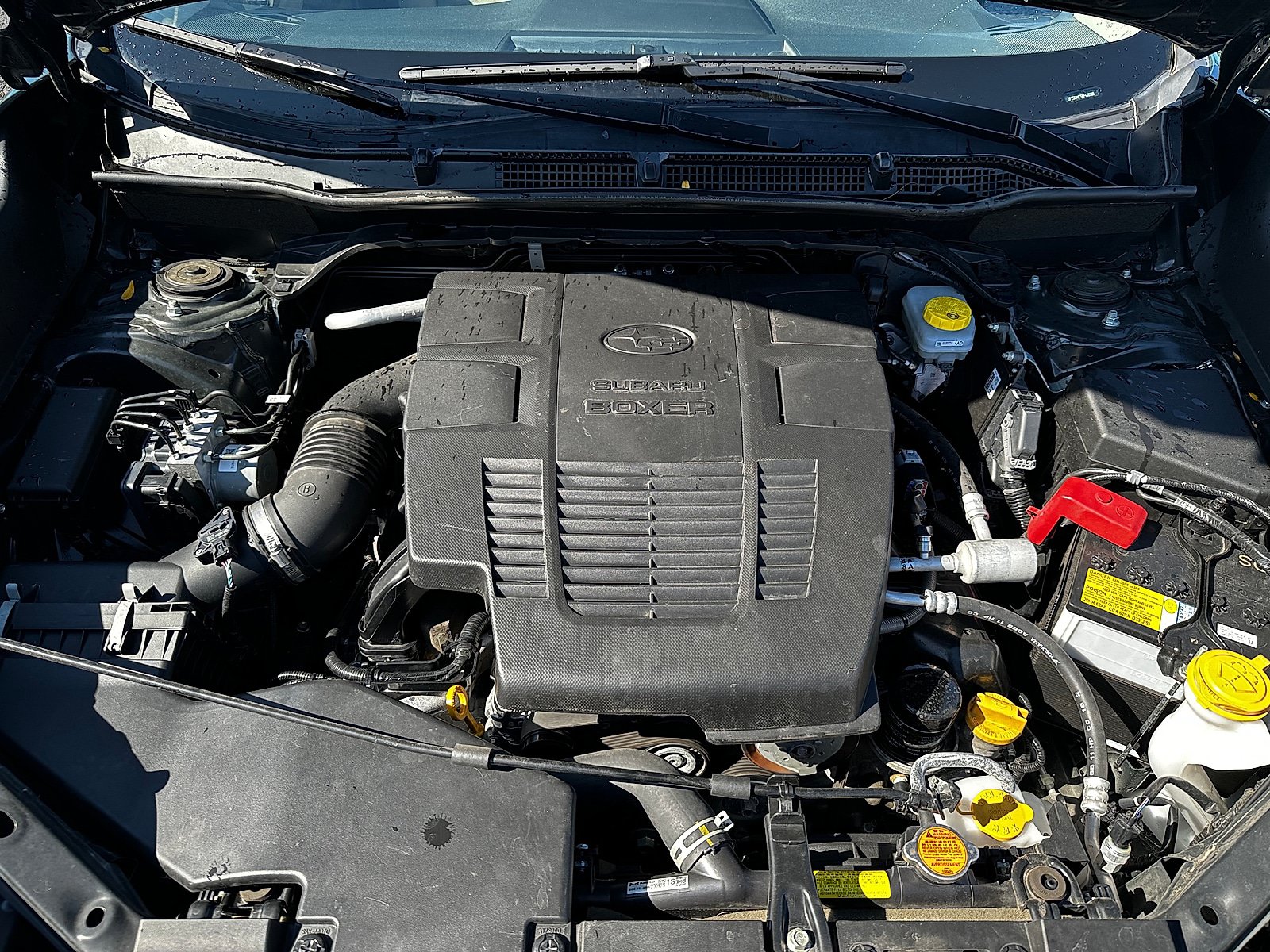 Certified 2024 Subaru Forester Limited AWD/4WD image 10