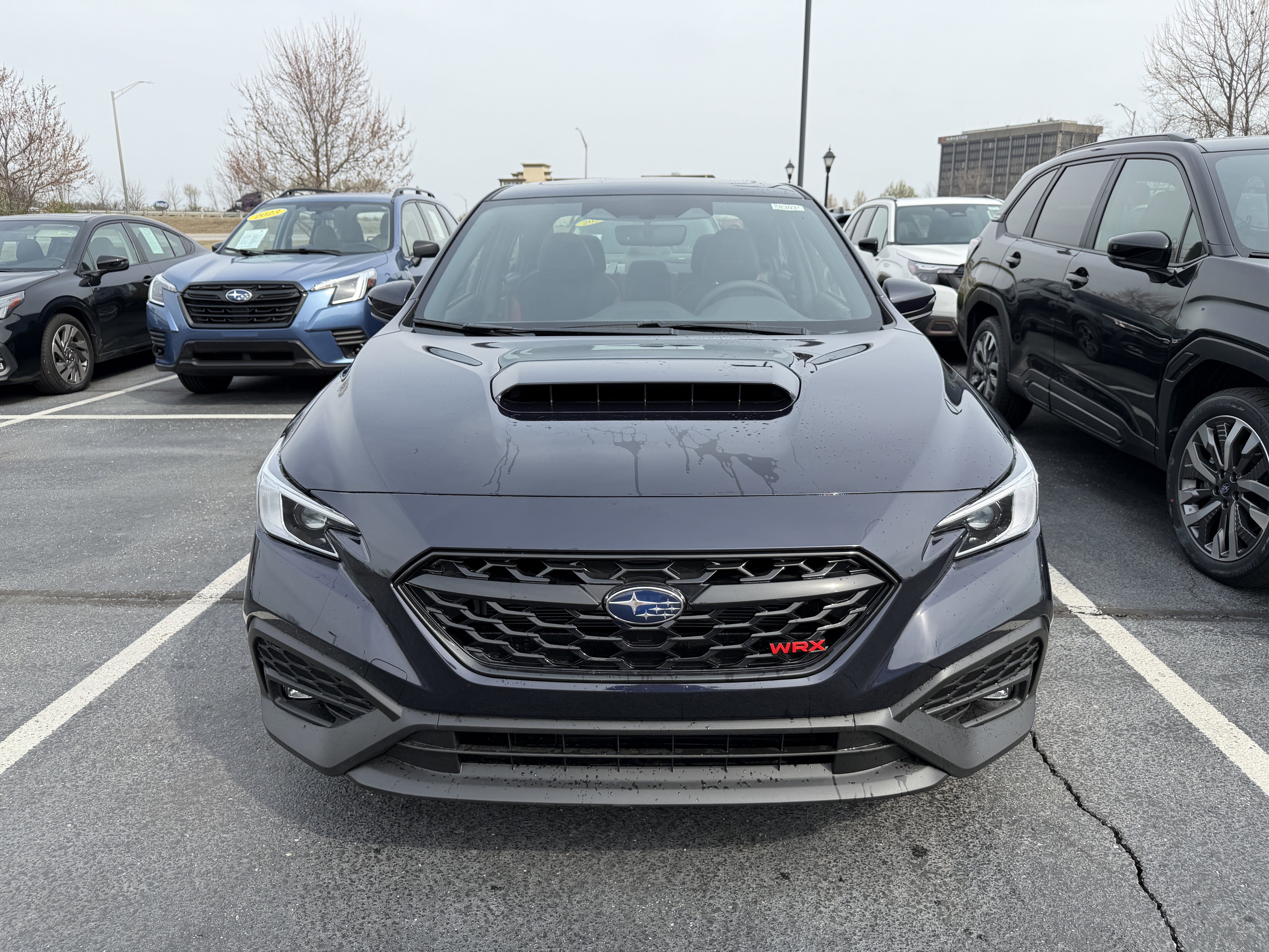 New 2026 Subaru WRX Limited image 3