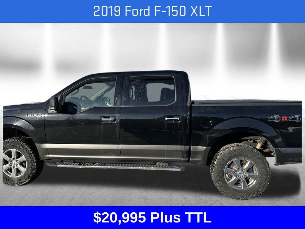 Used 2019 Ford F150 XLT w/ Equipment Group 302A Luxury image 2