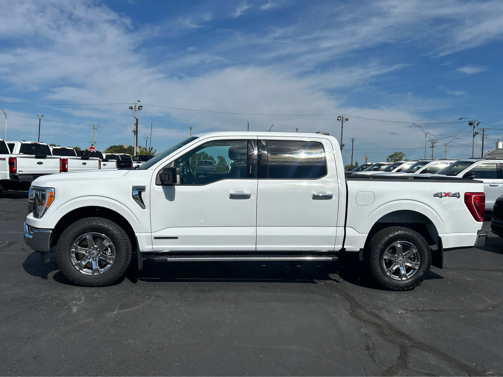 Used 2023 Ford F150 XLT w/ Equipment Group 302A High AWD/4WD image 1