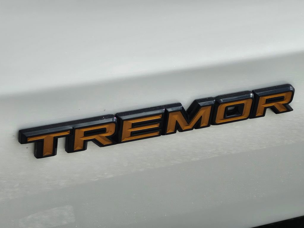 New 2026 Ford Expedition Tremor image 28