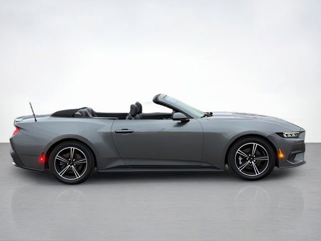 Certified 2025 Ford Mustang Premium image 2