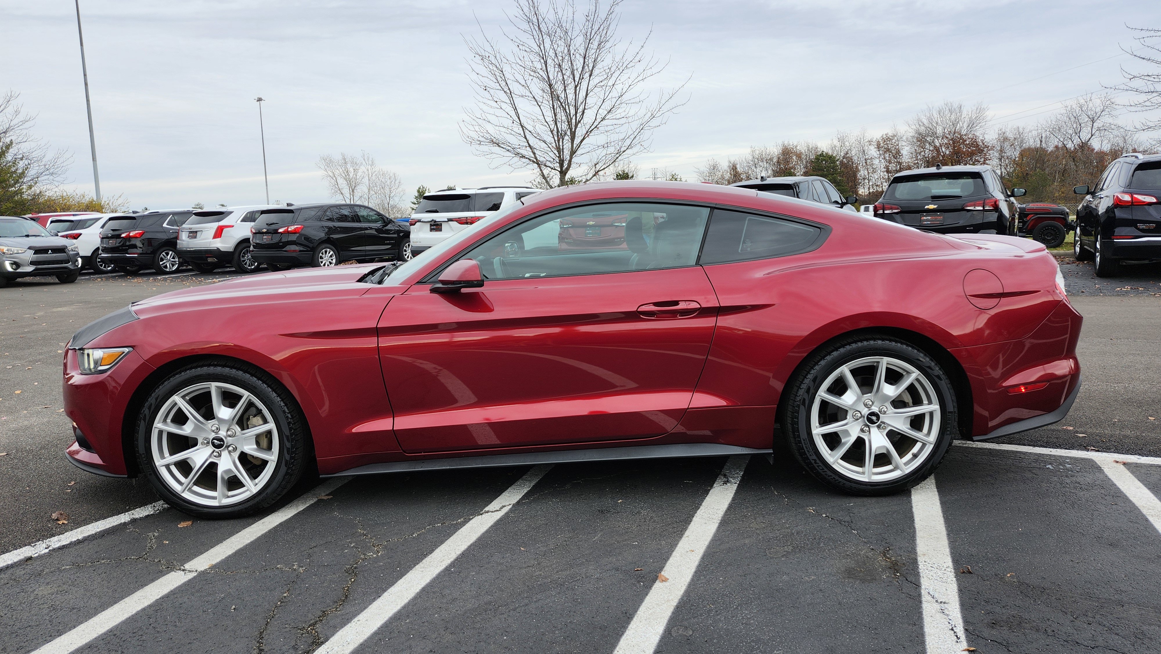 Used 2015 Ford Mustang Premium w/ Equipment Group 201A image 16