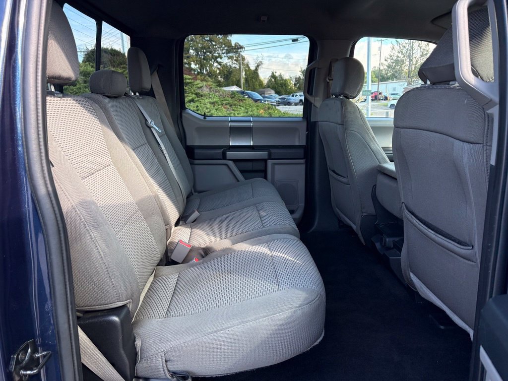 Used 2019 Ford F150 XLT w/ Equipment Group 302A Luxury AWD/4WD image 28