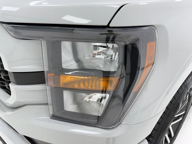 Used 2023 Ford F150 XL w/ STX Appearance Package RWD image 6