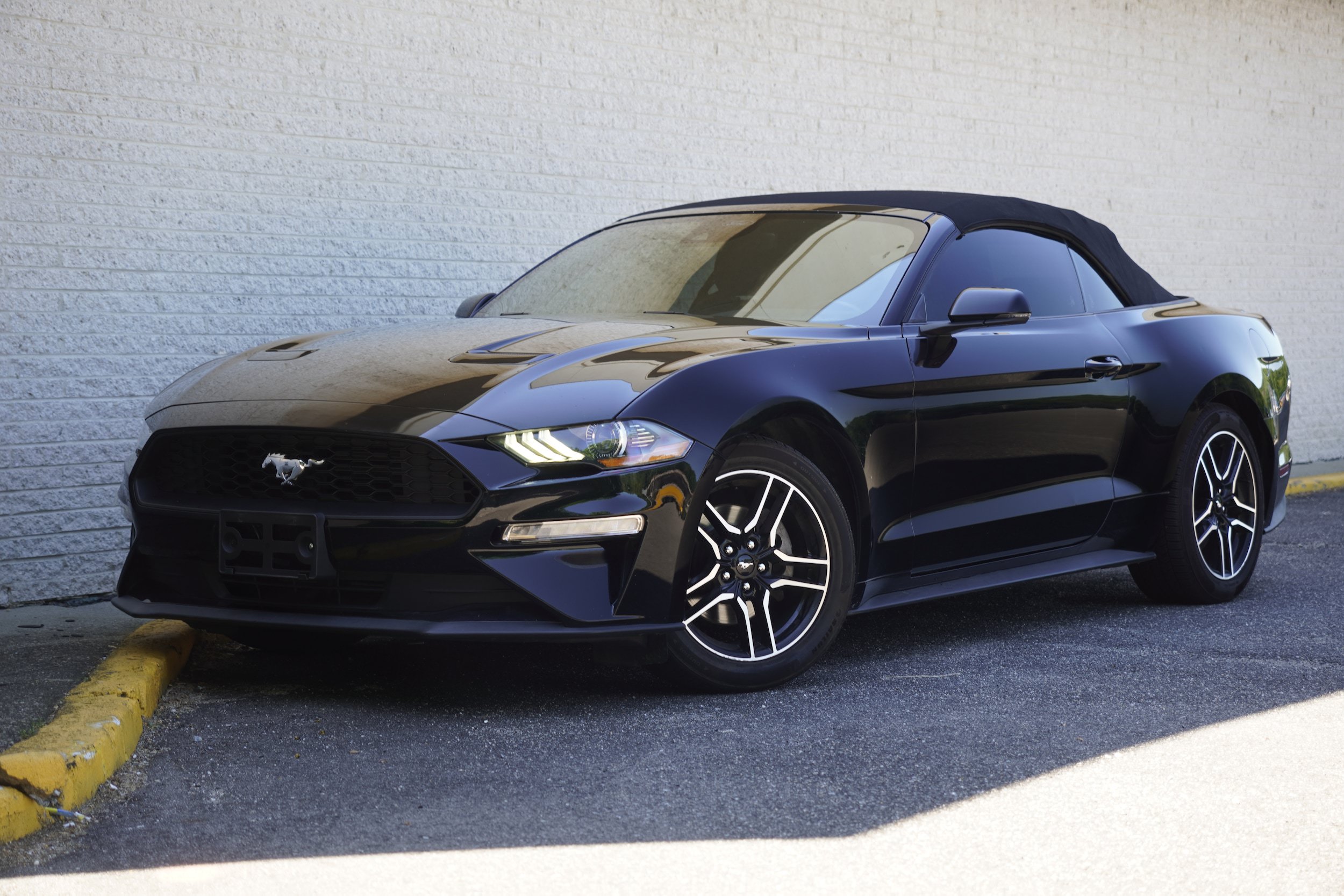 Used 2023 Ford Mustang Premium w/ Equipment Group 201A RWD image 4