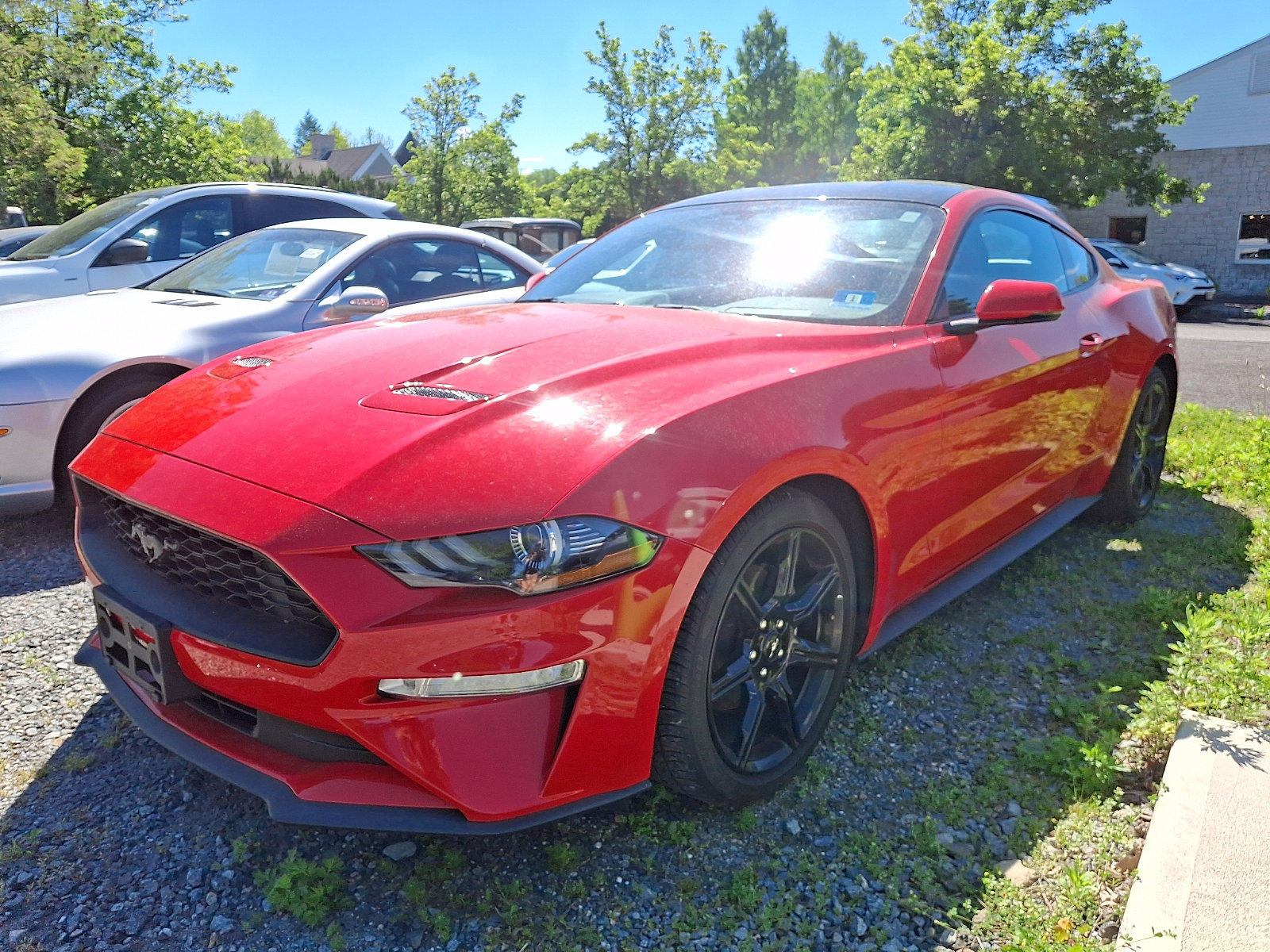 Used 2019 Ford Mustang Premium w/ Equipment Group 201A