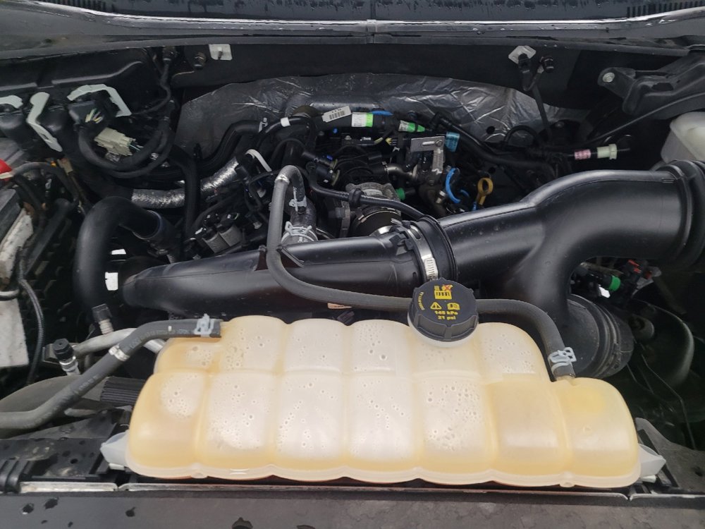 Used 2019 Ford F150 XLT w/ Equipment Group 302A Luxury image 30