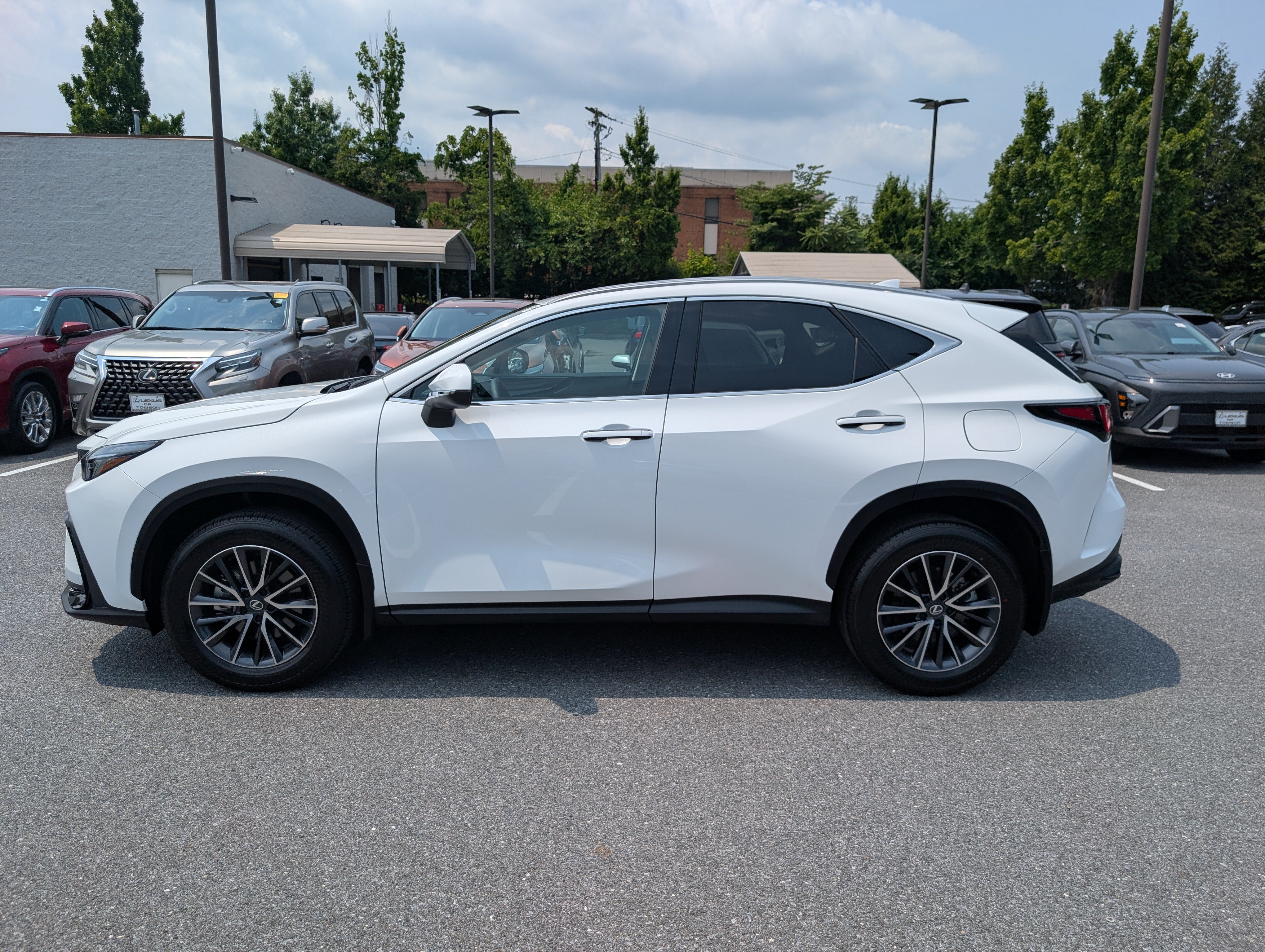 Certified 2026 Lexus NX 350 AWD w/ Cold Area Package image 6