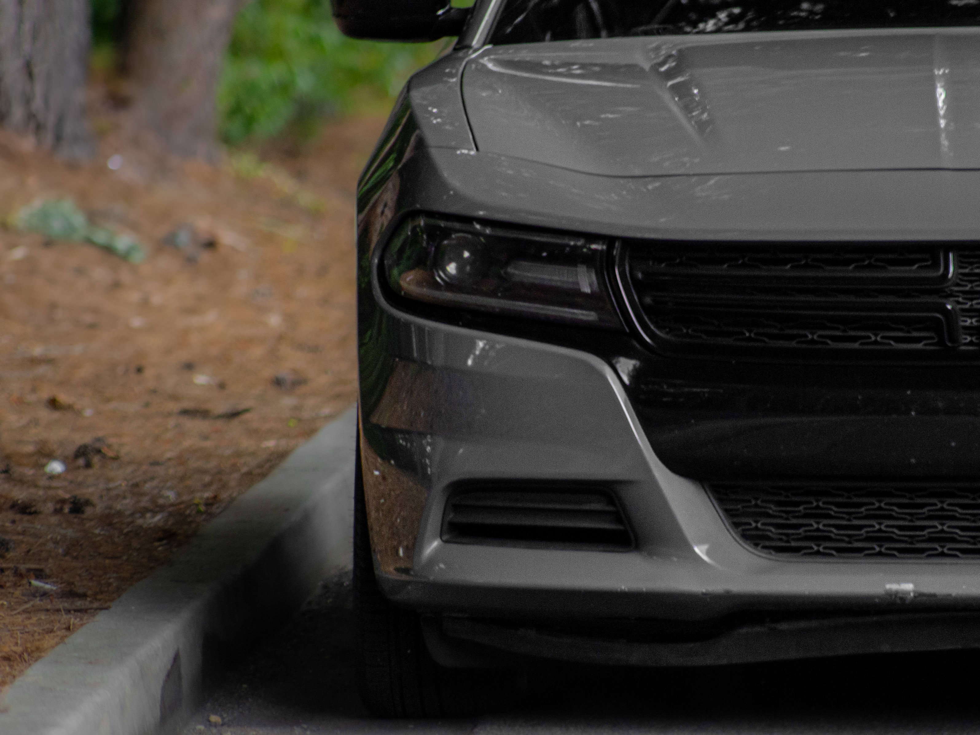 Used 2019 Dodge Charger SXT image 34