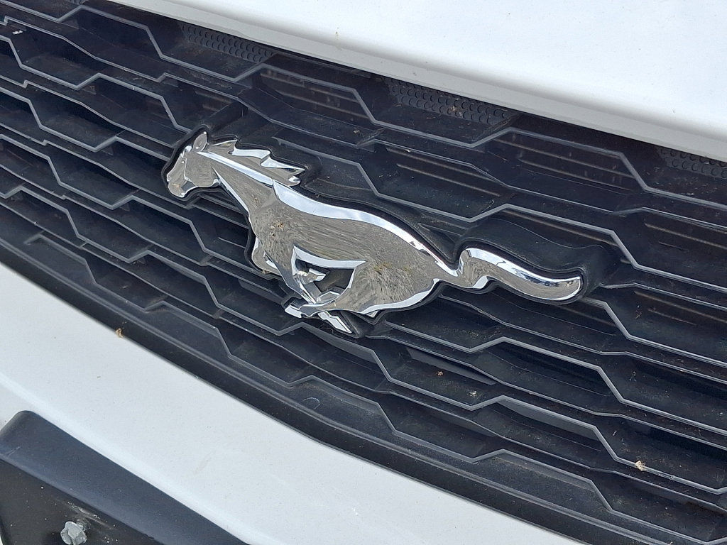 Used 2015 Ford Mustang Premium RWD image 30