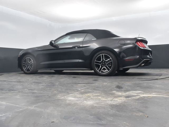 Used 2023 Ford Mustang Premium RWD image 54