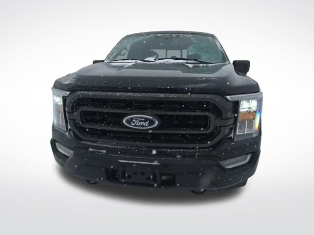 Used 2023 Ford F150 XLT w/ Equipment Group 302A High image 2