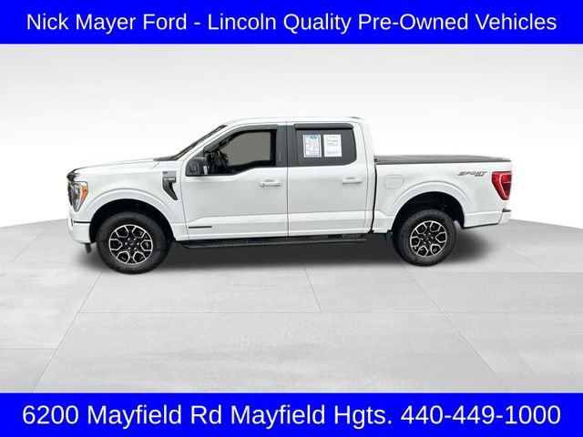 Used 2023 Ford F150 XLT w/ Equipment Group 302A High image 4