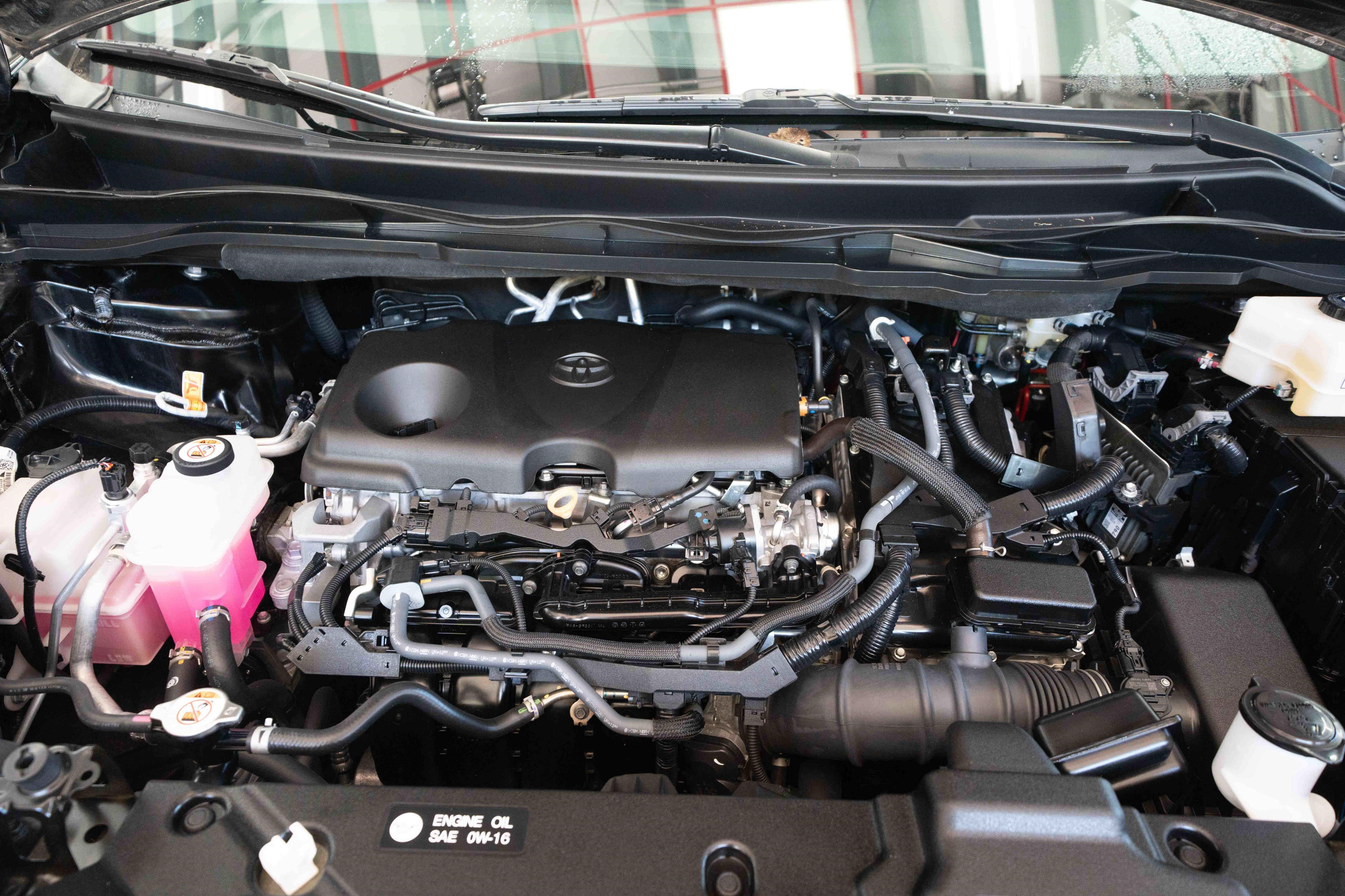 Used 2025 Toyota Sienna XLE FWD image 32