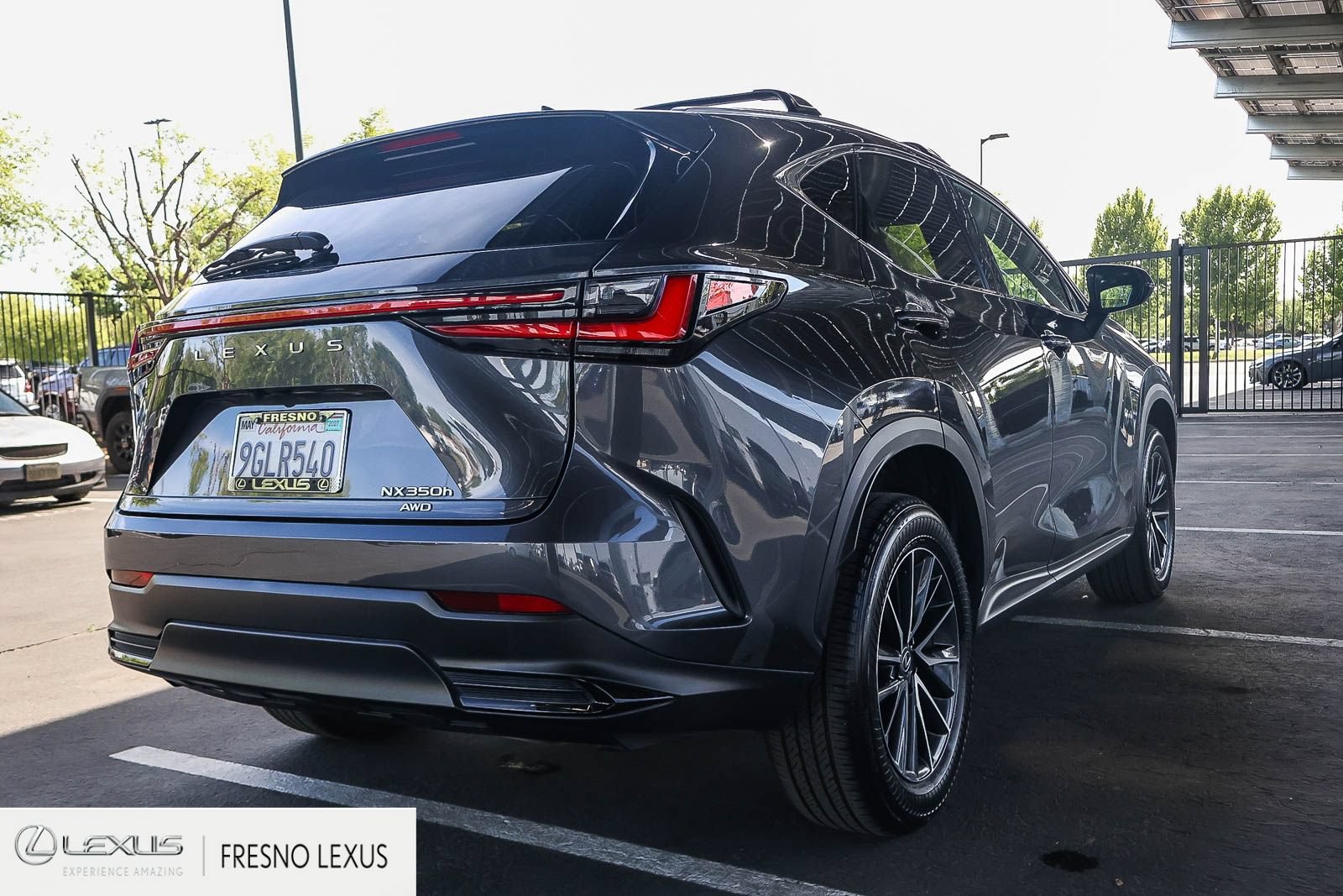 Certified 2024 Lexus NX 350h AWD w/ Cold Area Package image 6