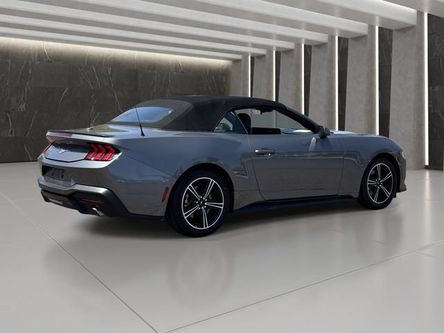 Used 2025 Ford Mustang Premium RWD image 6