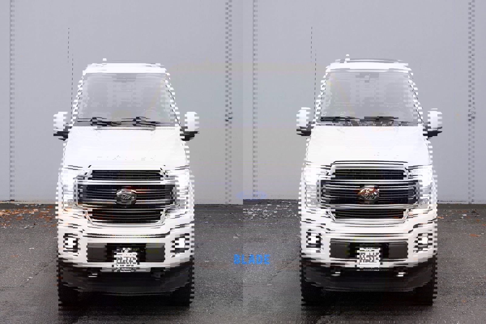 Used 2019 Ford F150 Limited image 23