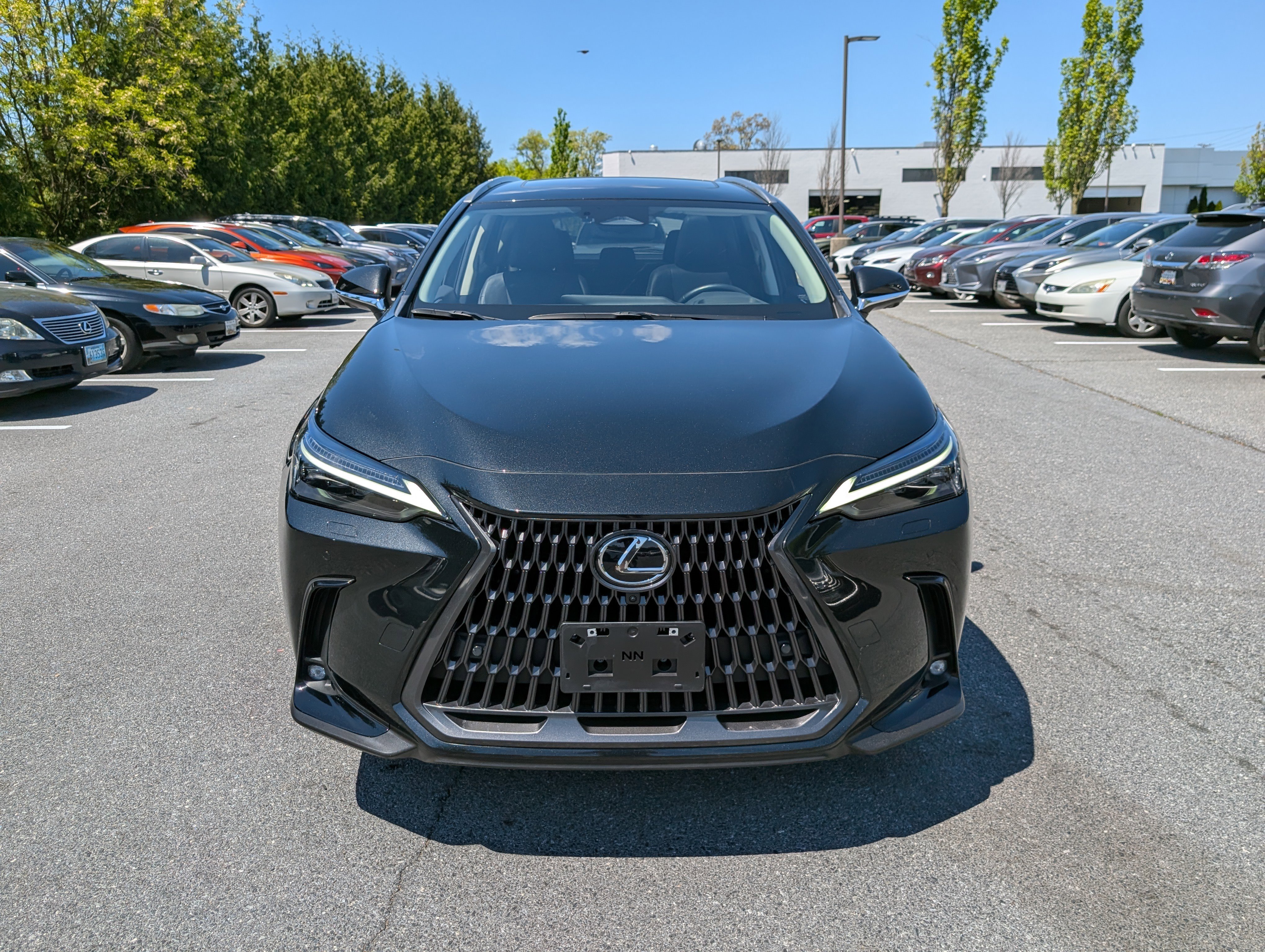 Certified 2024 Lexus NX 450h+ AWD w/ Vision Package image 8