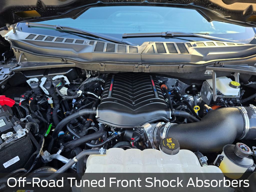 New 2026 Ford F150 XLT w/ Equipment Group 302A MID image 21