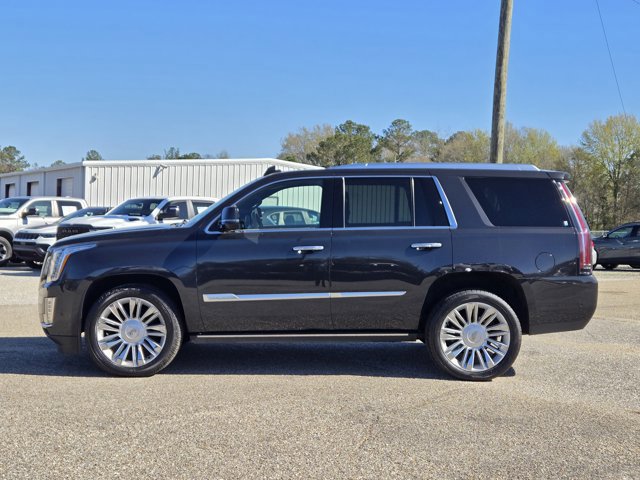 Used 2019 Cadillac Escalade Platinum image 12