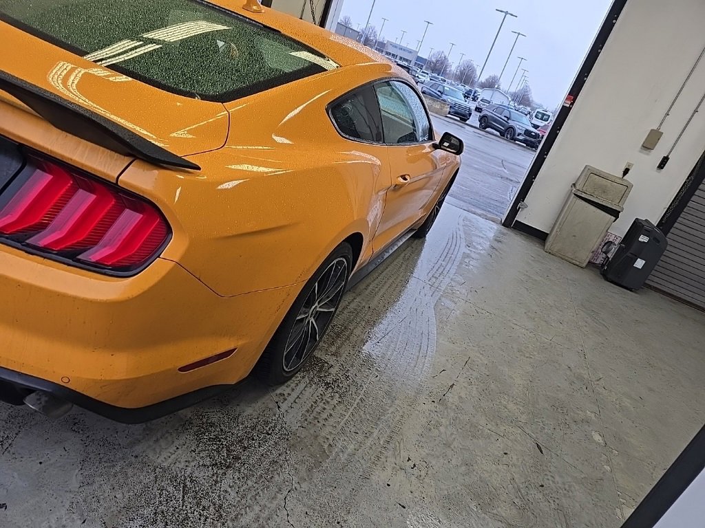 Used 2022 Ford Mustang Coupe w/ Equipment Group 101A image 4