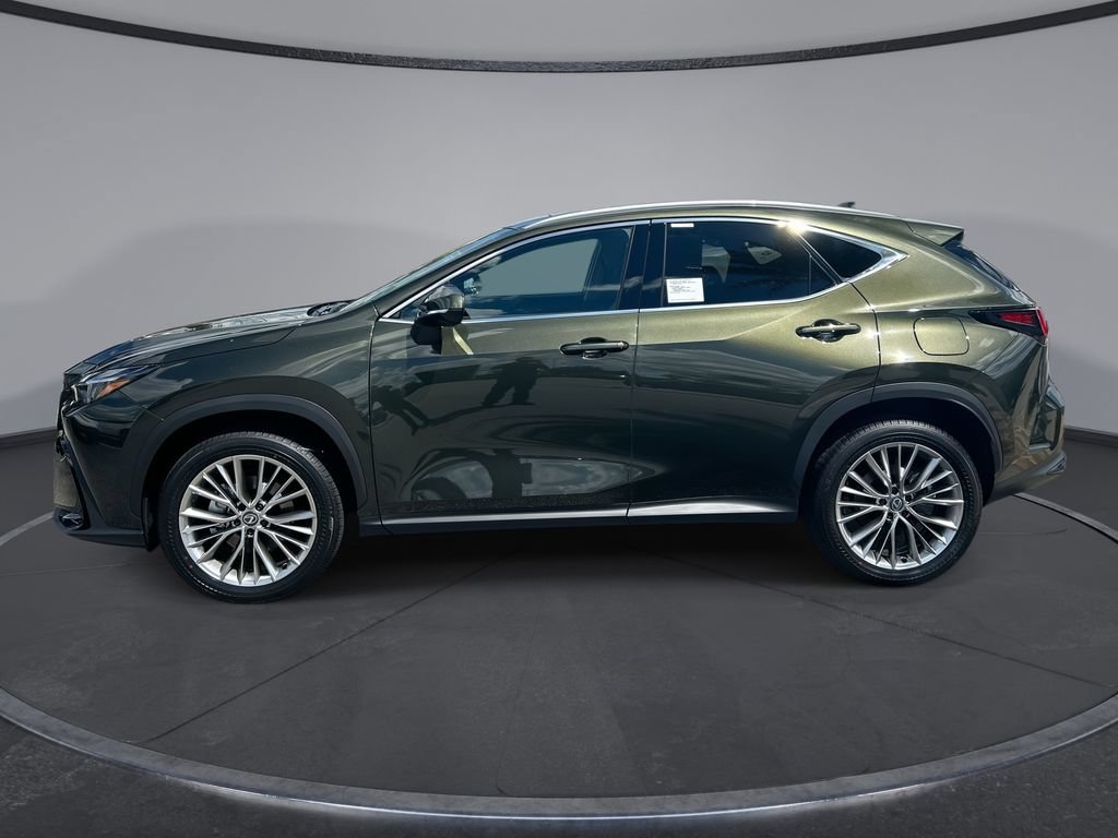 New 2026 Lexus NX 350 AWD w/ Luxury Package image 5