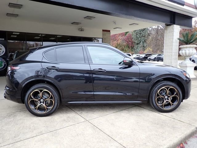 New 2025 Alfa Romeo Stelvio Sprint image 7