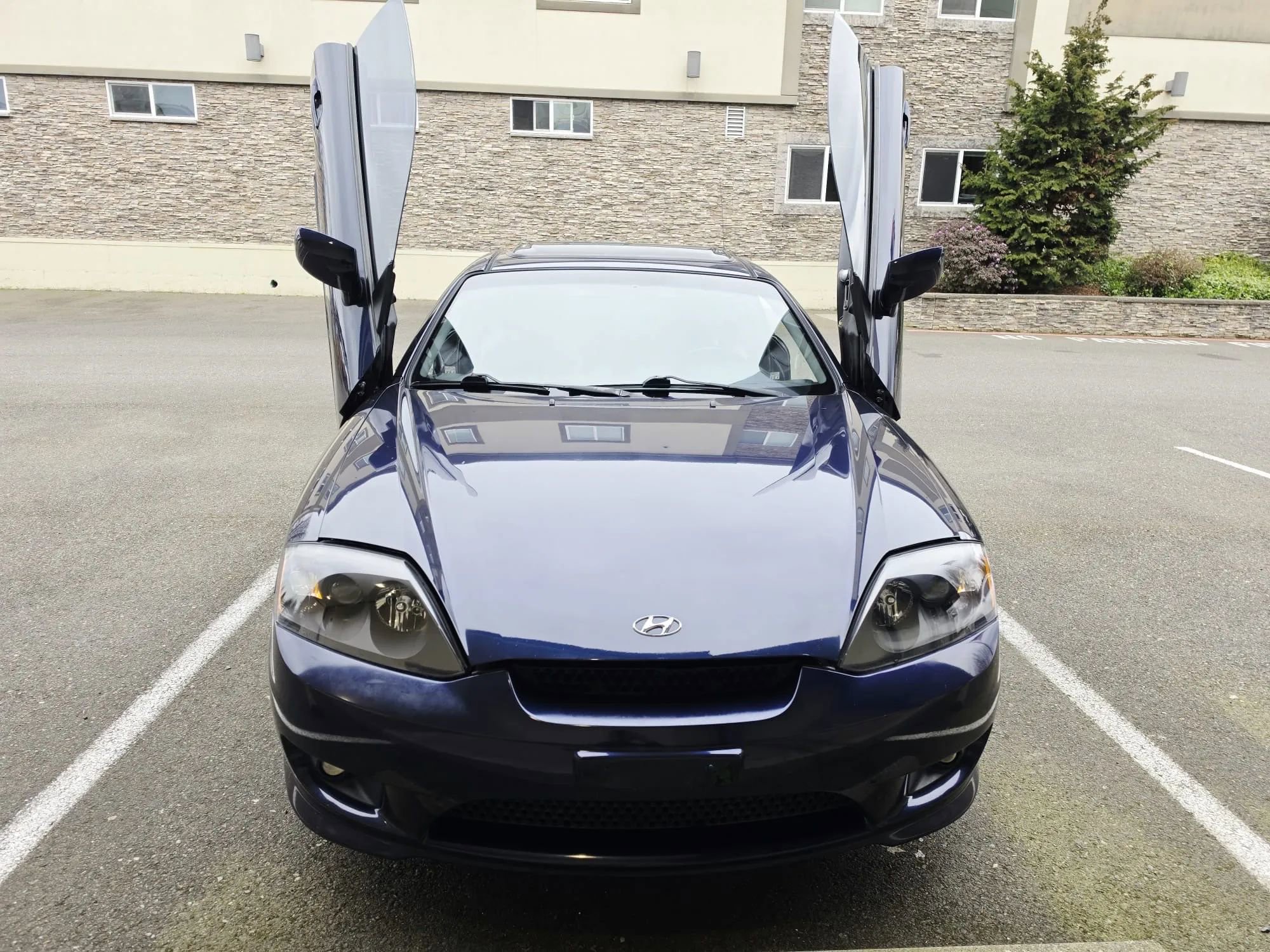 Used 2006 Hyundai Tiburon SE image 9