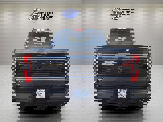 New 2025 Ford F250 Platinum image 3